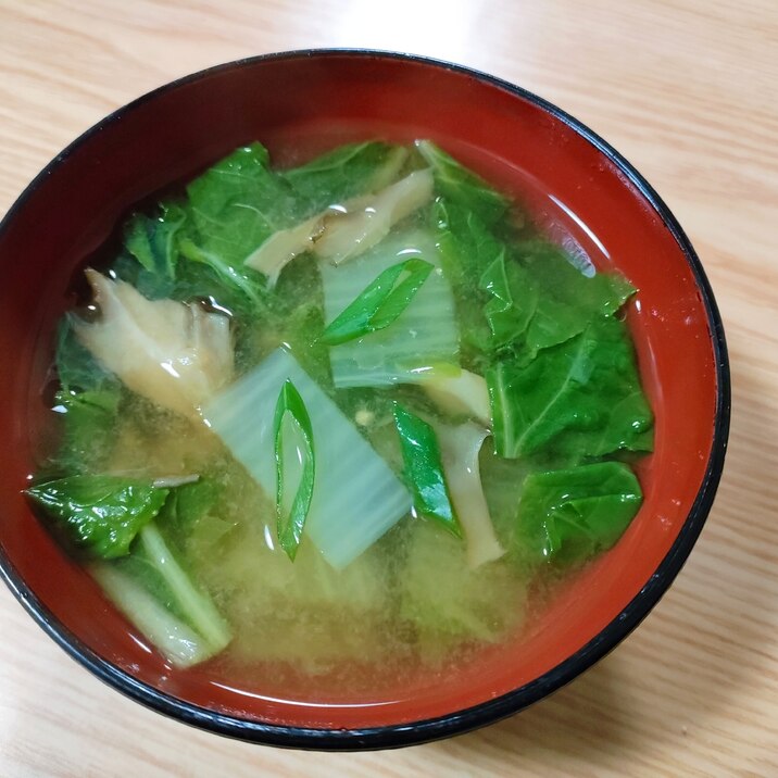 白菜と舞茸と小ねぎの味噌汁